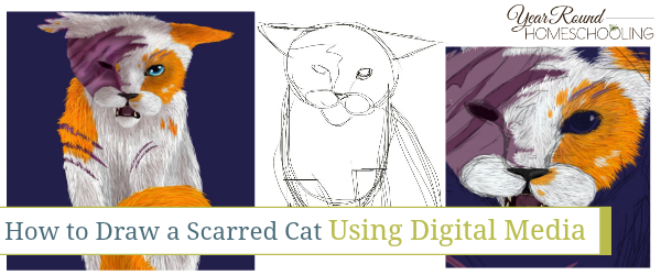 Draw Scars On Cats (600x250), Png Download