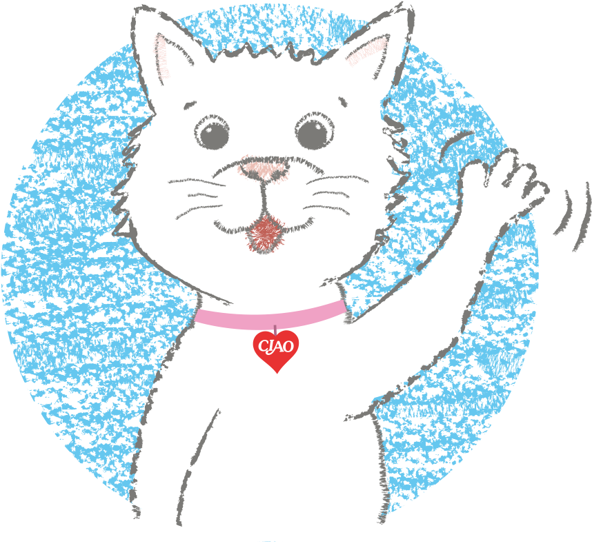 Domestic Short-haired Cat (1000x1000), Png Download