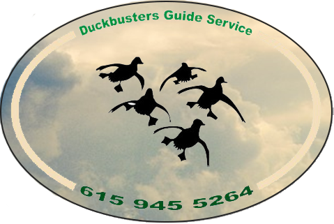 Duck Hunting Guides - Duck Hunting (479x321), Png Download