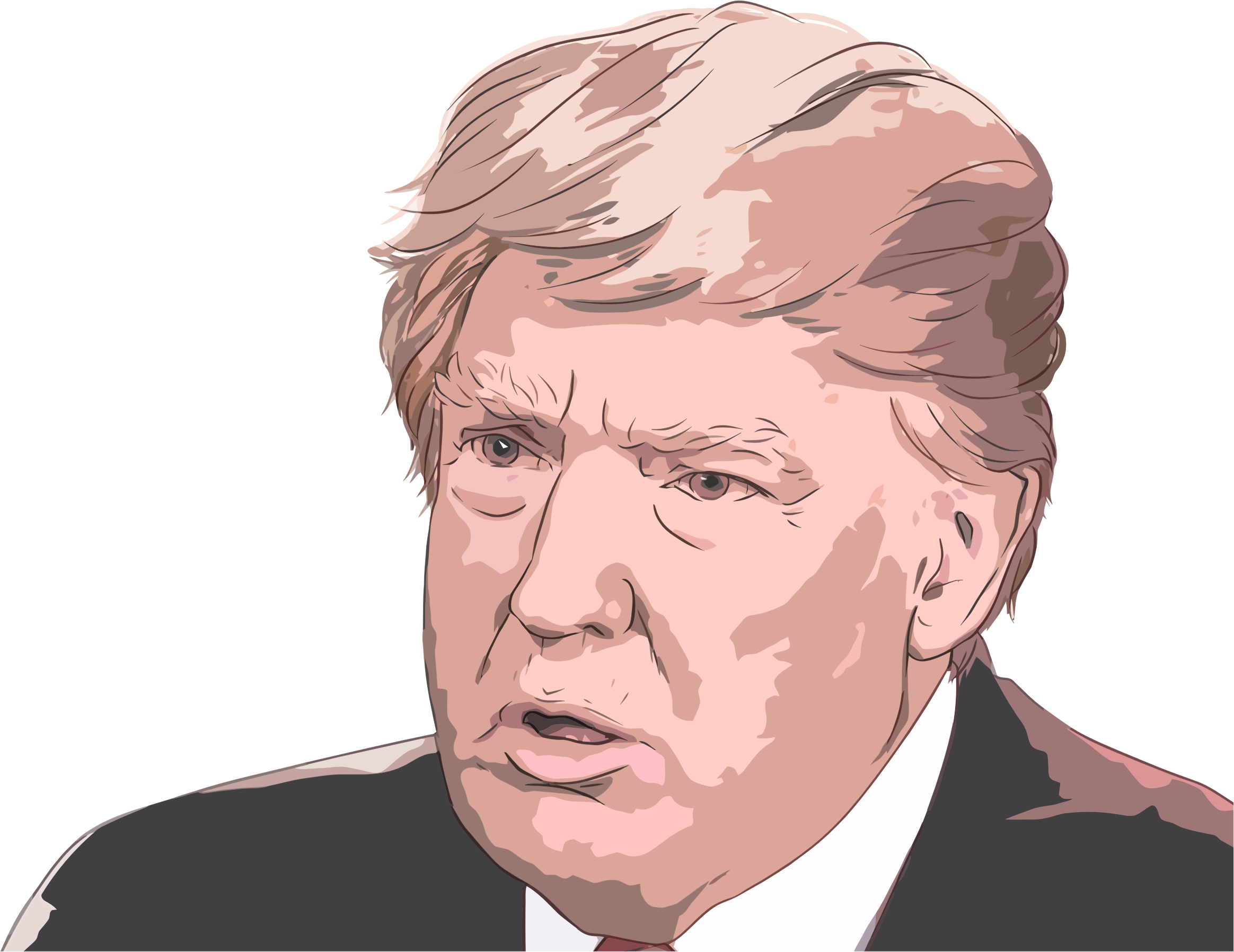 This Free Icons Png Design Of Donald Trump Portrait (2328x1796), Png Download