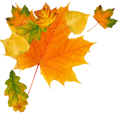 Clip Transparent Download Autumn Leaves Clipart Transparent - Autumn Leaves Png Free (440x400), Png Download