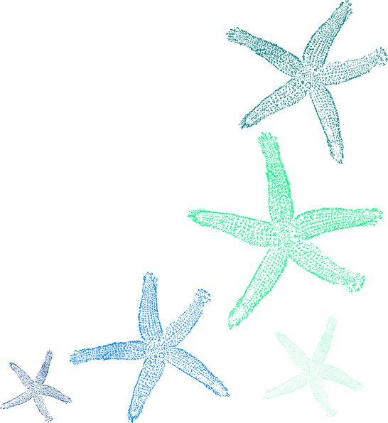 Clip Art Transparent Library Starfish Clip Art Seashell - Watercolor Seashell Clipart (546x595), Png Download