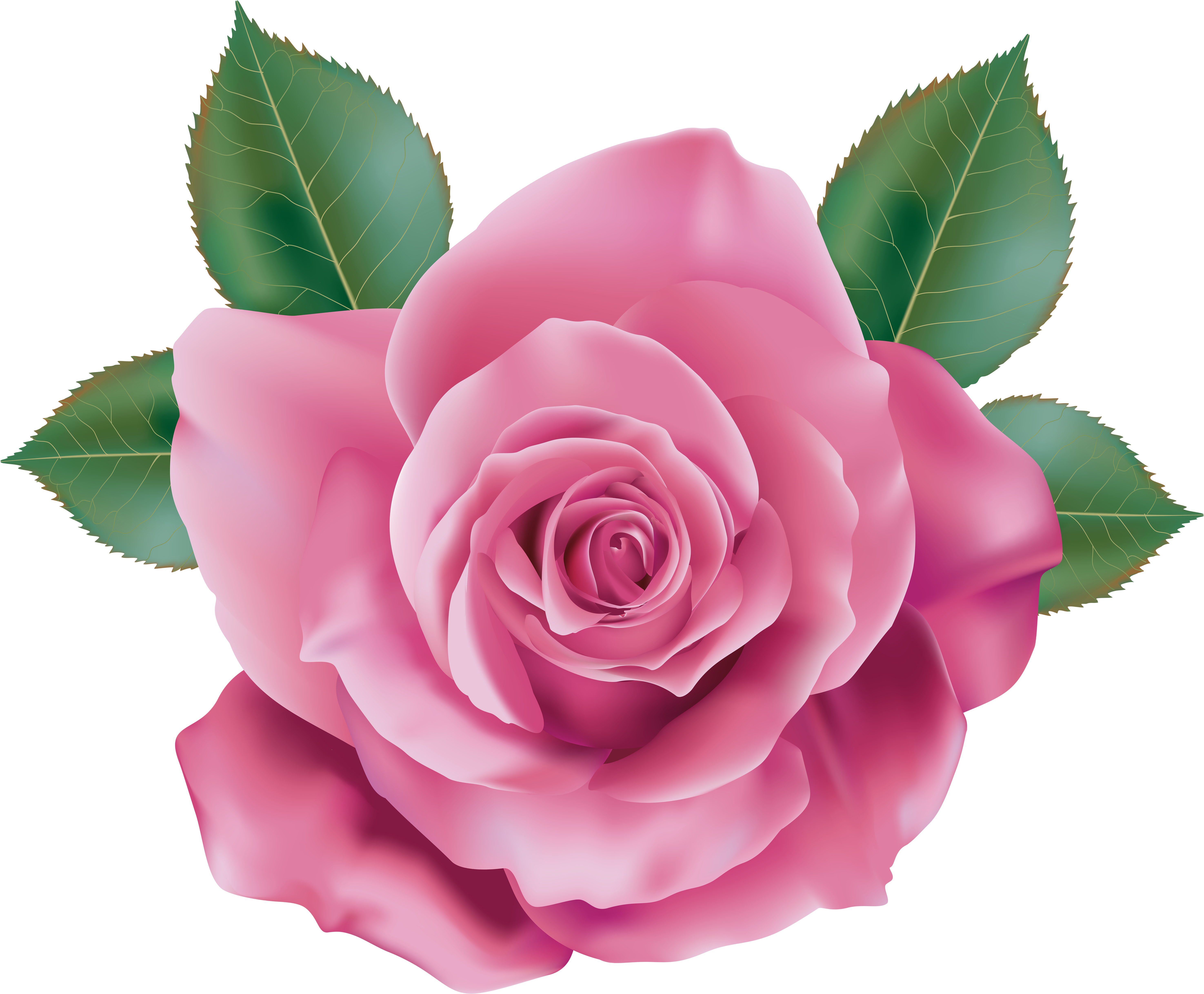 Rose Png (6000x4937), Png Download