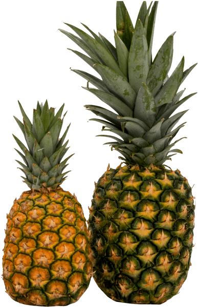 Free Png Pineapple Png Images Transparent - Nanas Png (480x628), Png Download