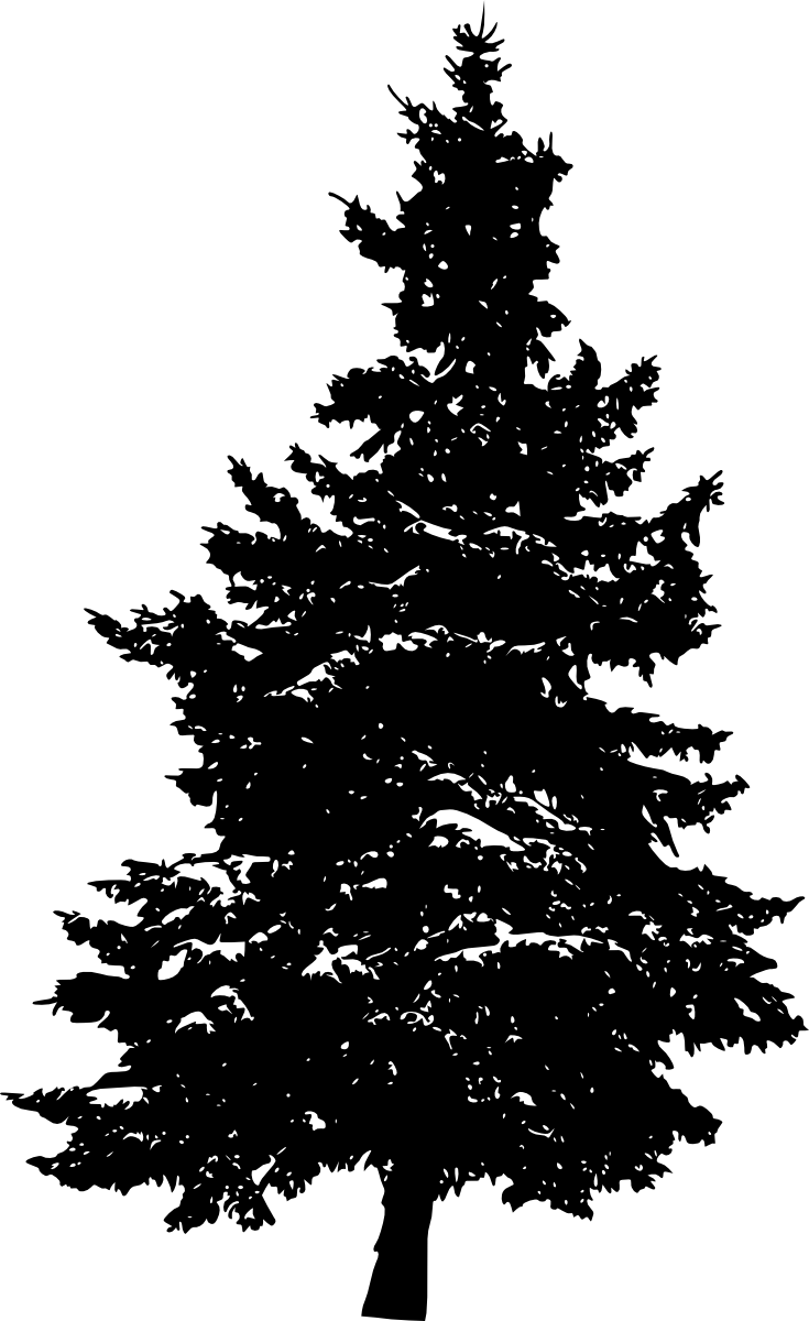 Png File Size - Pine Tree Transparent (627x1024), Png Download