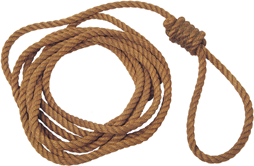 Example - Speaker Wire (538x372), Png Download