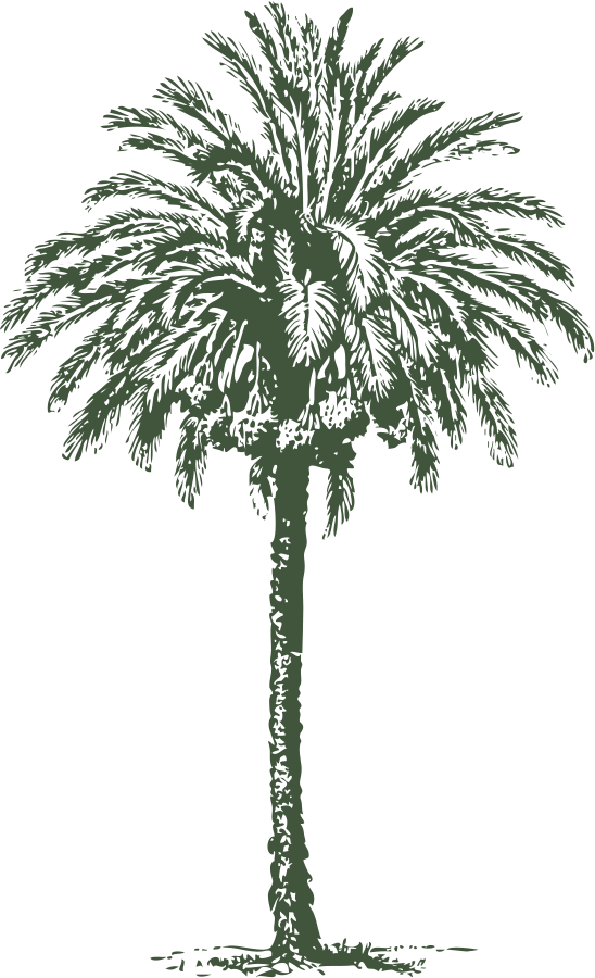 How To Set Use Date Palm Clipart (548x900), Png Download