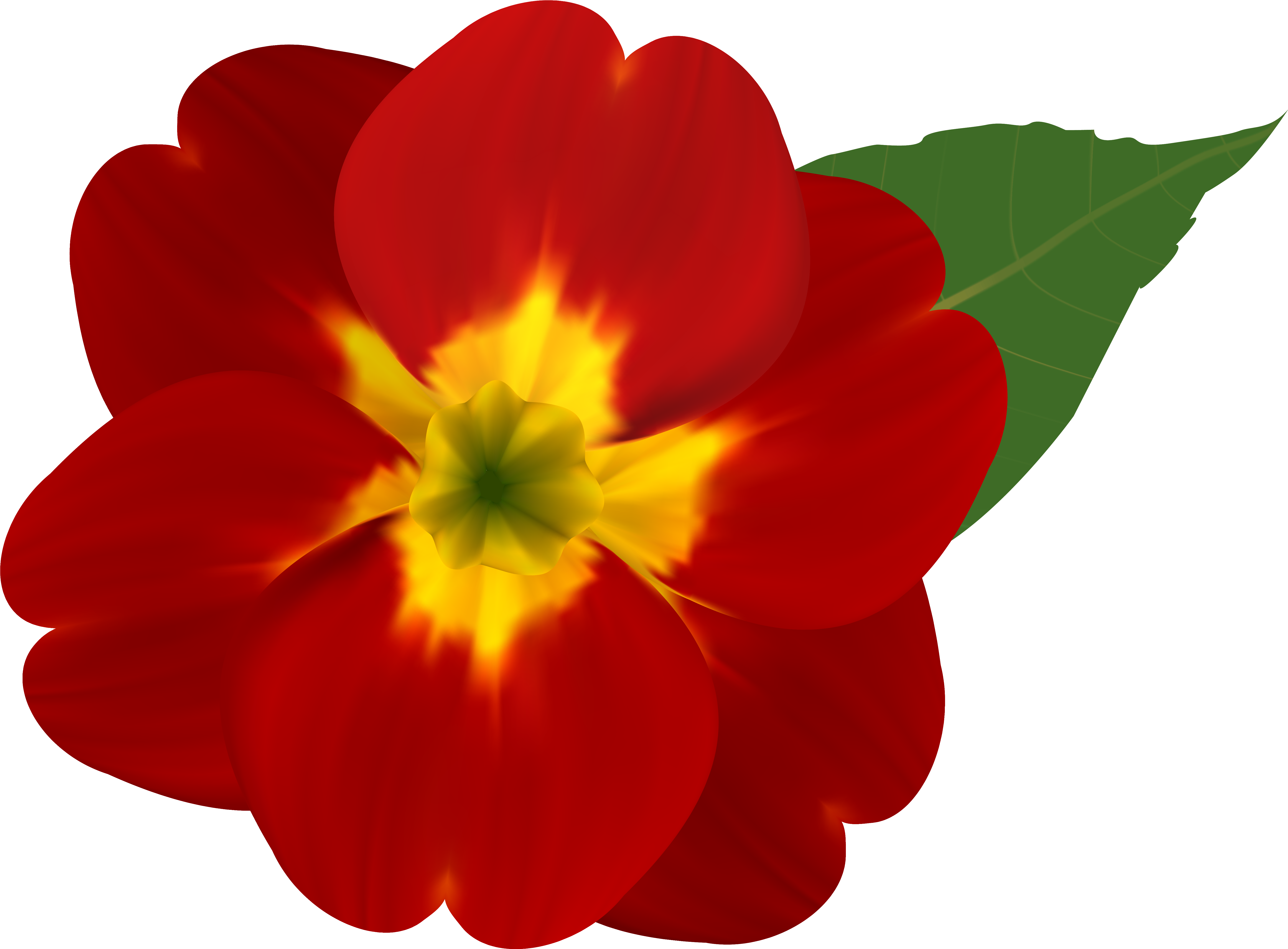 And Yellow Flower Png Image Gallery Yopriceville - Red Flowers With Yellow (6260x4855), Png Download