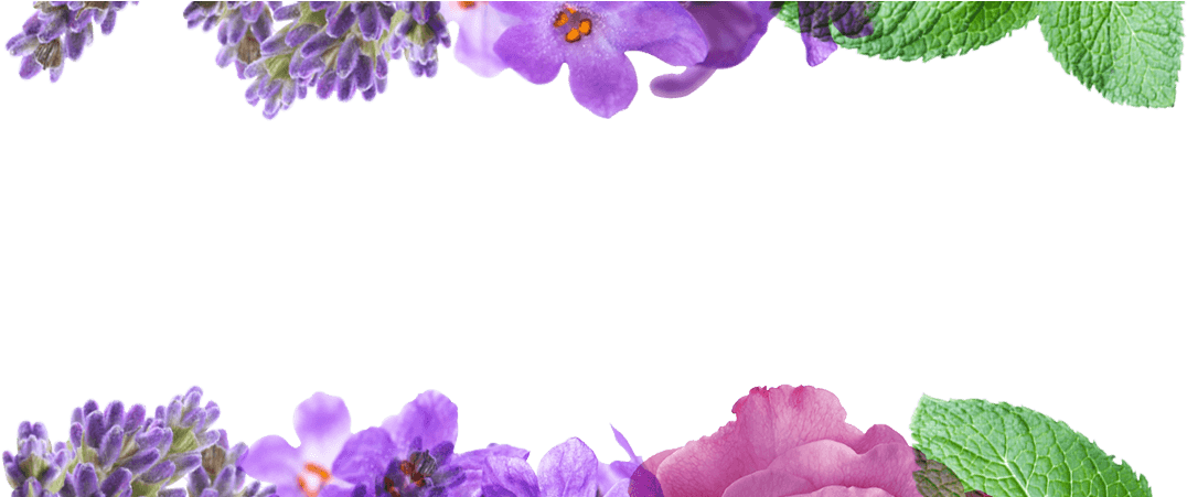 Lavender & White Mint - Mint And Lavender Png (1400x450), Png Download