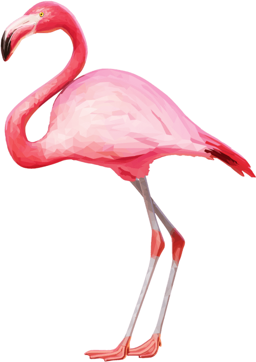 Free Png Flamingo Png Images Transparent - Flamingo Png (850x764), Png Download