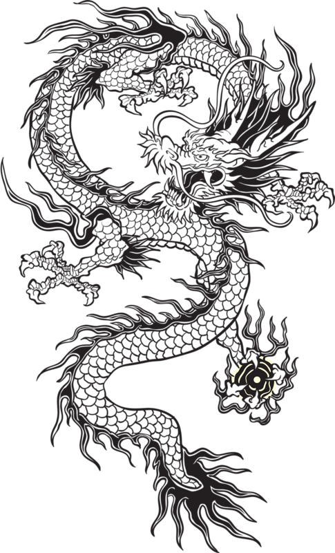 Transparent Chinese Dragon Tumblr Black And White - Transparent Chinese Dragon (485x800), Png Download