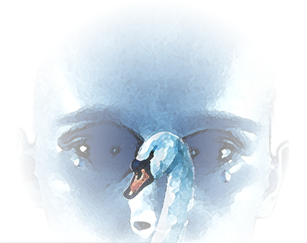 Fionnula - Wisdom (612x504), Png Download