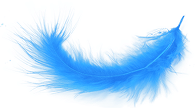 Feather Png (400x400), Png Download