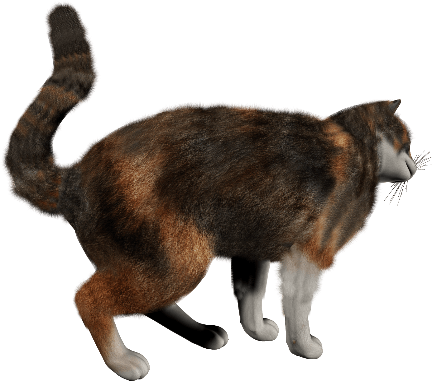 Manx Cat Png (1490x1520), Png Download