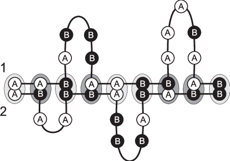 Schematic Picture Of A Complex Of Two Random Heteropolymer - Circle (451x315), Png Download