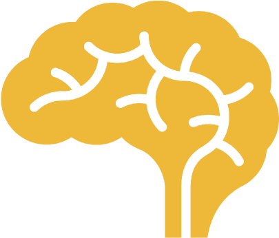 No Circle - Brain - Brady 142465 Neurology 10"h X 7"w ( (501x500), Png Download