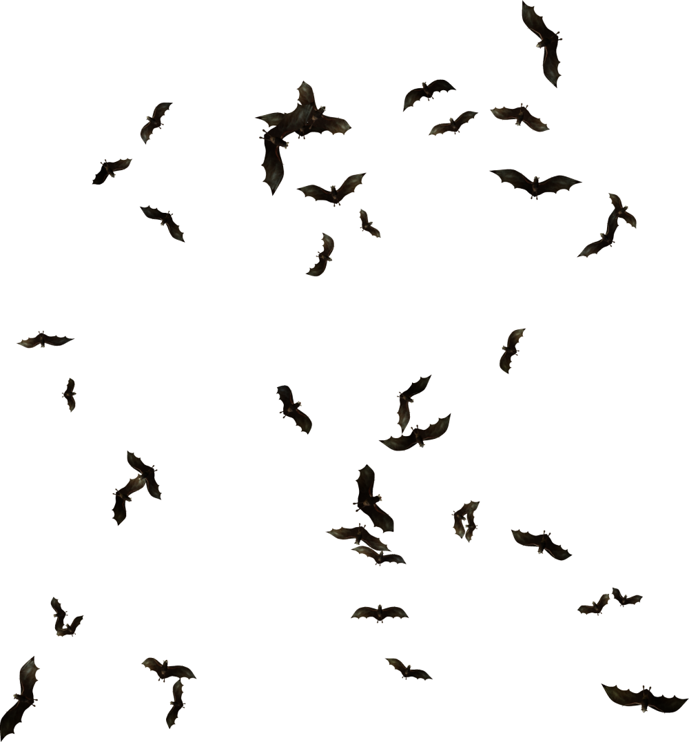 Graphic Freeuse Swarm Png For Free Download On - Gal Gadot (1000x1077), Png Download