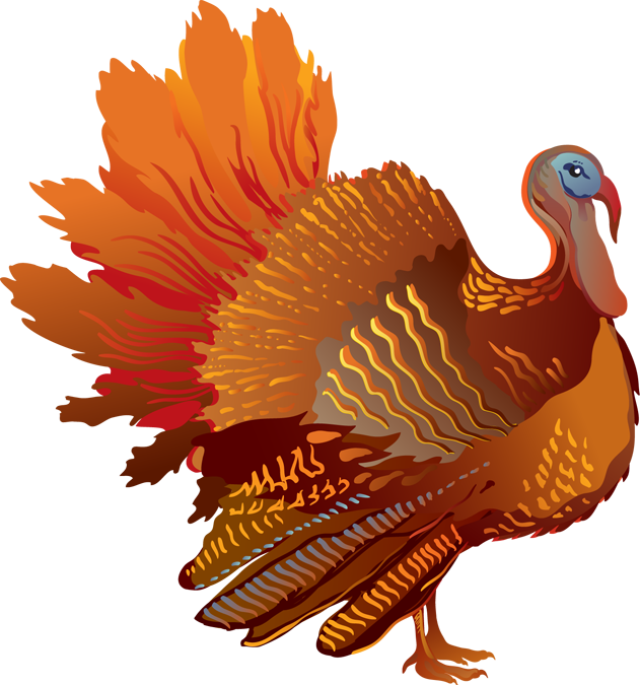 Turkey Clipart Png Clip Stock - Turkey Clipart Transparent Background (631x675), Png Download