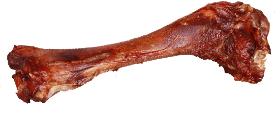 Dog Bone Transparent Png (585x355), Png Download