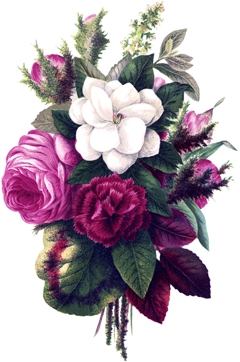 Flower Bouquet Pink Flowers - Watercolor Border Flower Background (528x768), Png Download