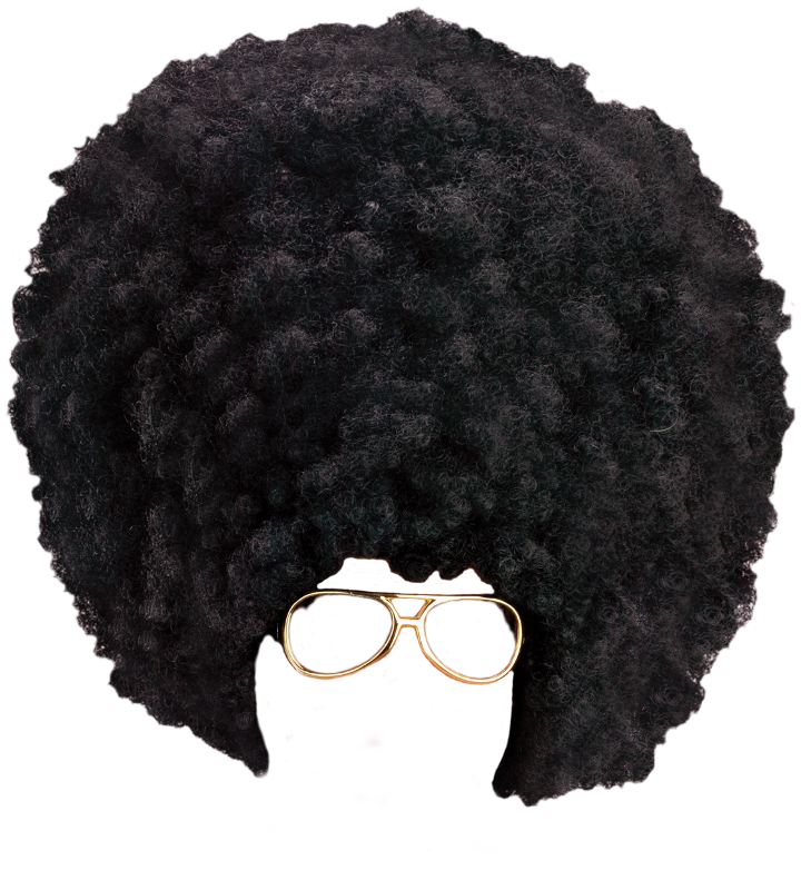 Afro Hair Download Png - Afro Png (1024x1024), Png Download