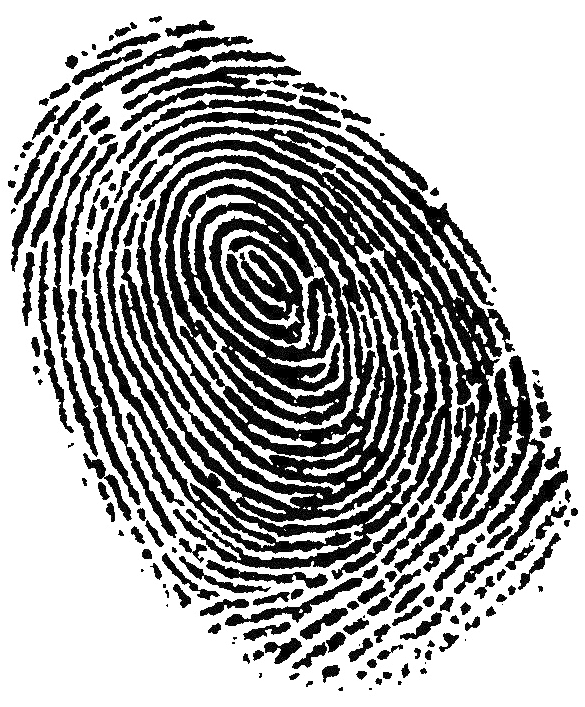 Share This Article - Fingerprint Png (604x706), Png Download