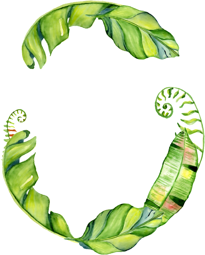 This Graphics Is Hand Painted Three Leaves Png Transparent - Leaf (1024x1024), Png Download