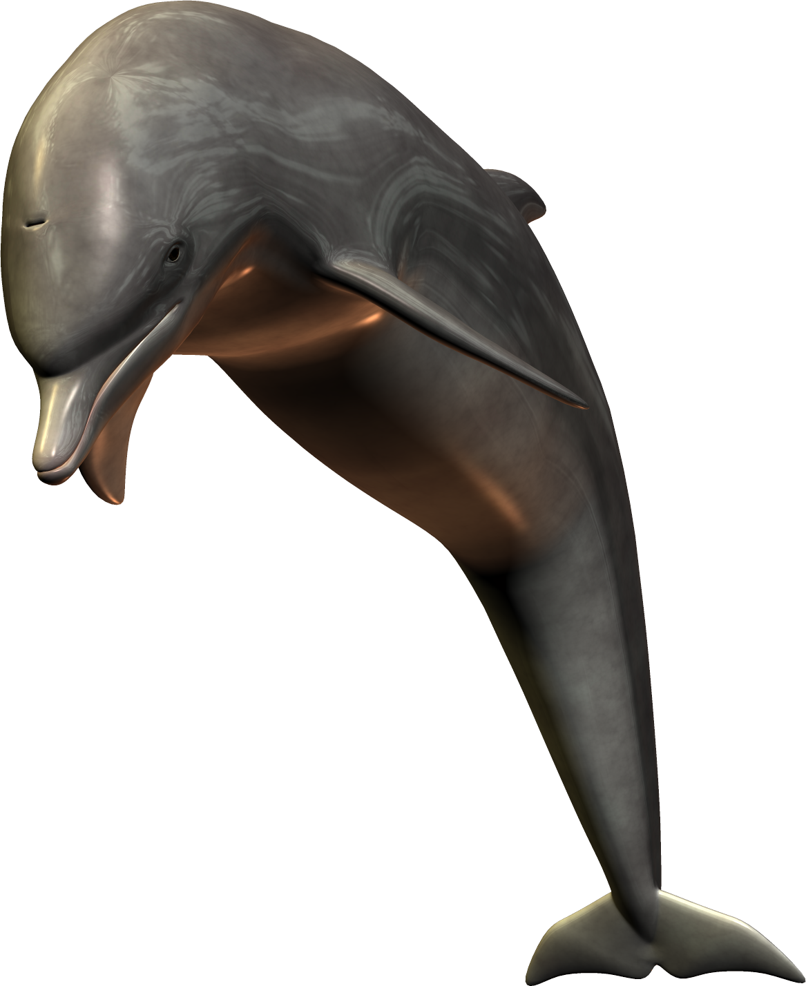 Dolphin .png (1167x1428), Png Download
