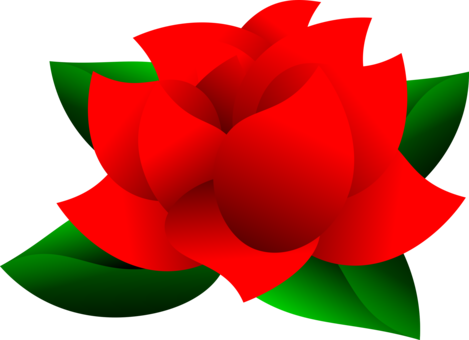 Garden Roses Computer Icons Drawing Download Line Art - Rose Clipart Red (469x340), Png Download