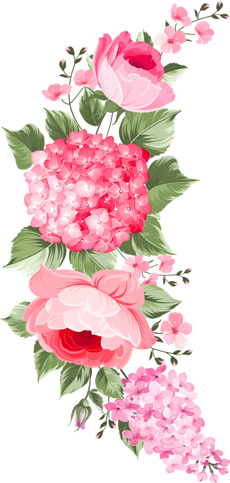 Фото, Автор Olga-schefer2011 На Яндекс - Vintage Flowers Label Png (761x1600), Png Download