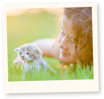 Learn More About Cats - Cat (388x373), Png Download