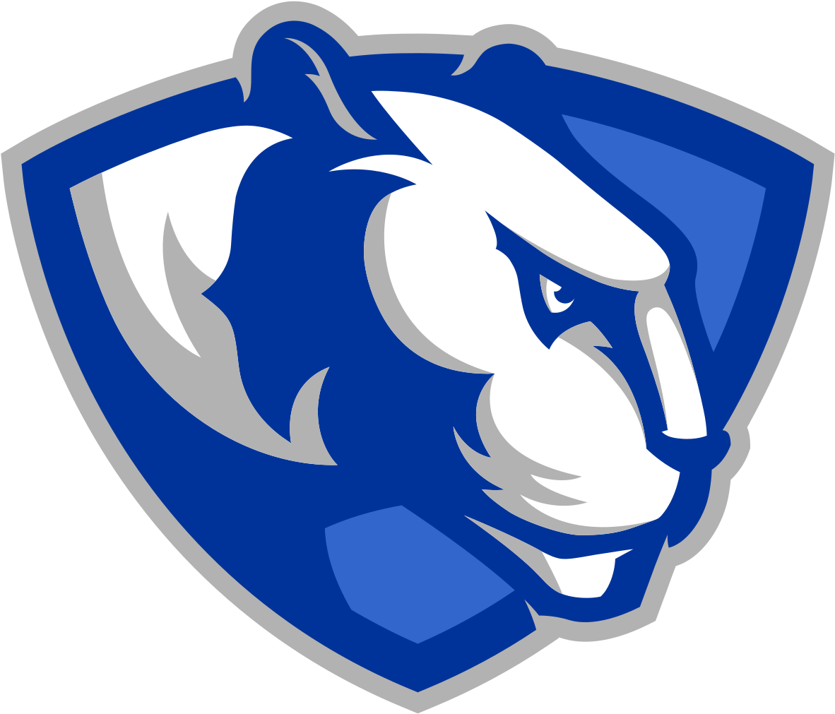 Eastern Illinois Panthers (1200x1029), Png Download