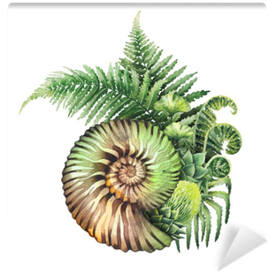 Prehistoric Watercolor Seashell And Fern Branches Wall - Fern Graphic (400x400), Png Download