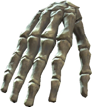 Right Hand Bones - Hand Bones Png (450x435), Png Download