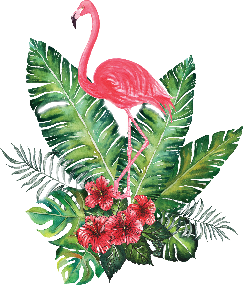 Diseña Bonito - Flamingo Png (988x1161), Png Download