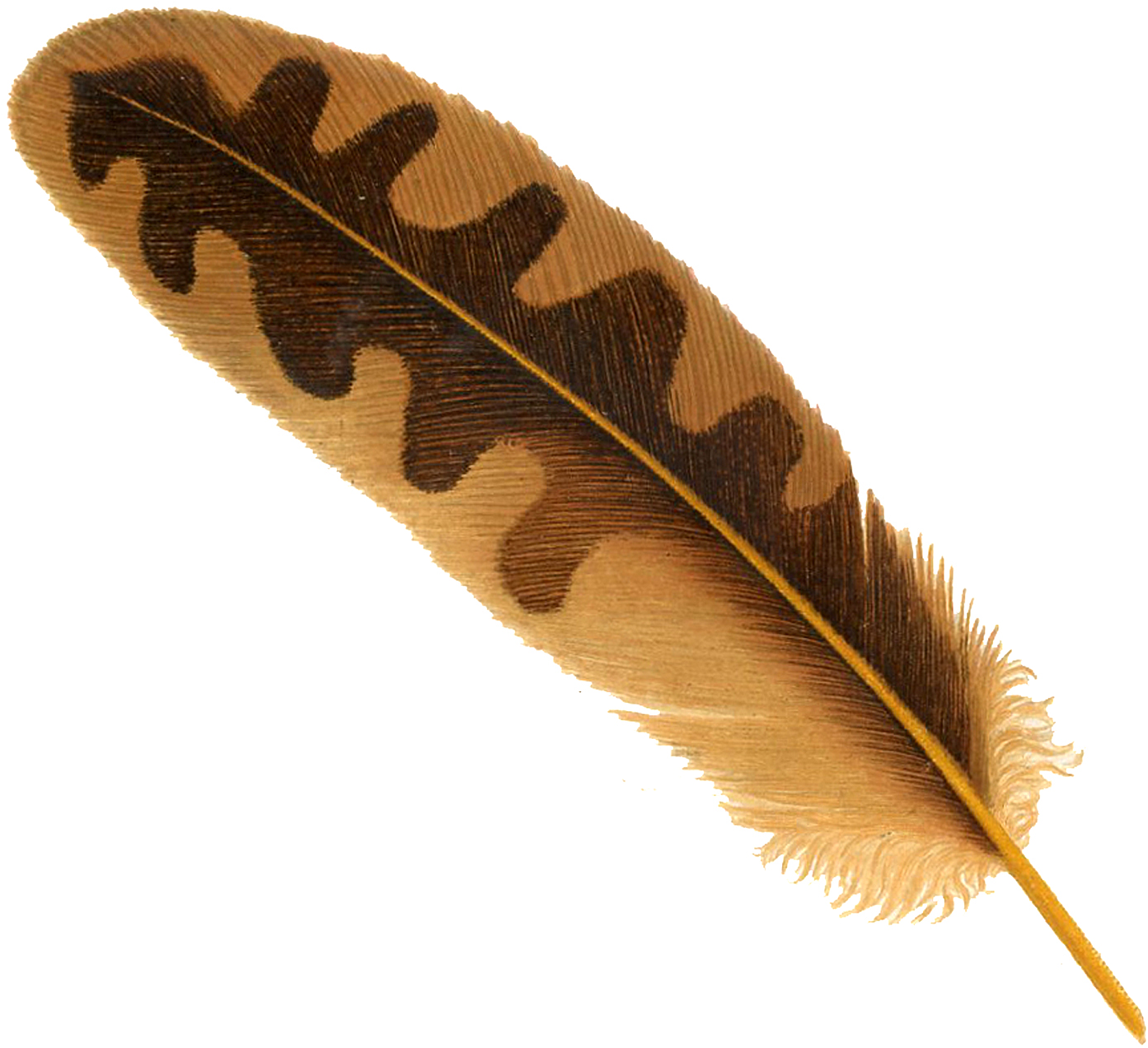 Pngpix Com Feather Png Transparent Image 1 - Feather Png (1500x1365), Png Download