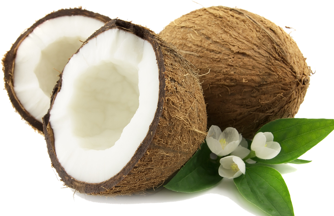 Coconut Png (1200x798), Png Download