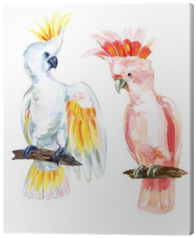 Watercolor Australian Cockatoo Canvas Print - Watercolor Painting (400x400), Png Download