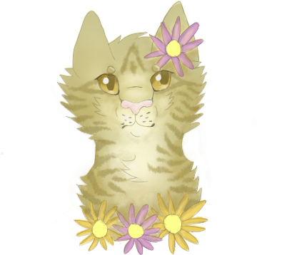 Salem's Request - Tabby Cat (500x500), Png Download