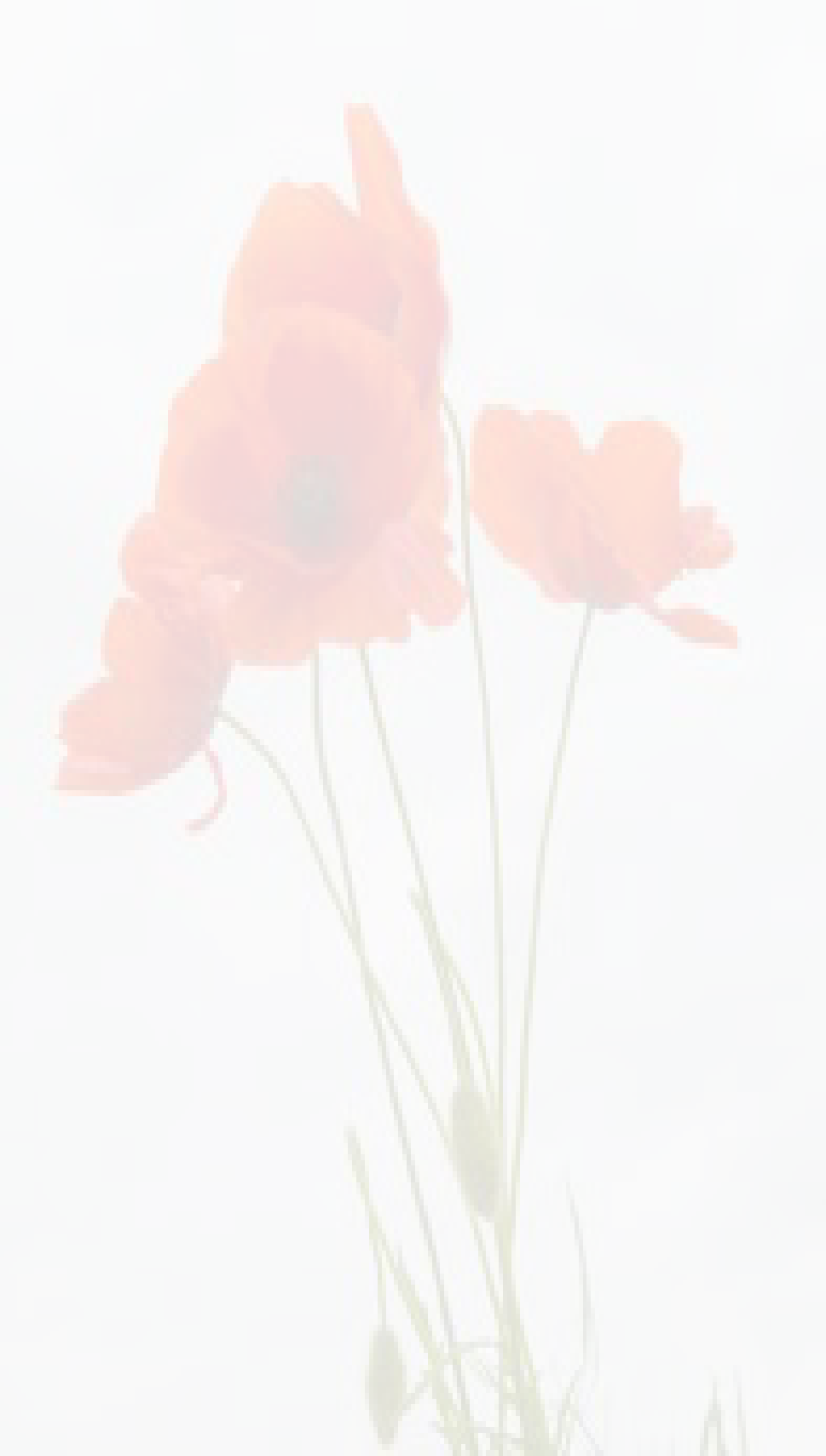 Inform The Doctor - 3drose Lsp 217331 1 Delicate Red Poppies Vector - Single (969x1708), Png Download