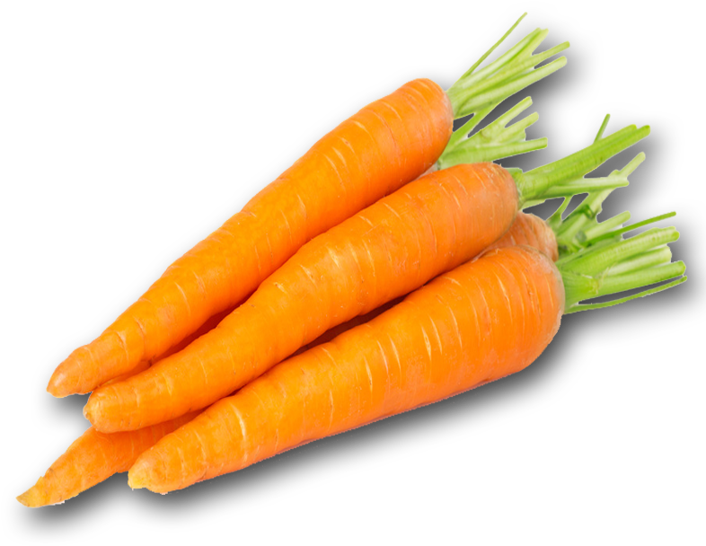 Carrot Png Pic - Object With Color Orange (800x800), Png Download