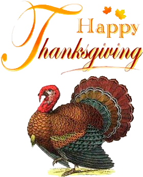 Thanksgiving-turkey - Turkey Brain (335x362), Png Download