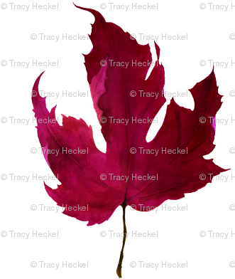 Red Maple Leaf Watercolor - Maple Leaf (340x400), Png Download