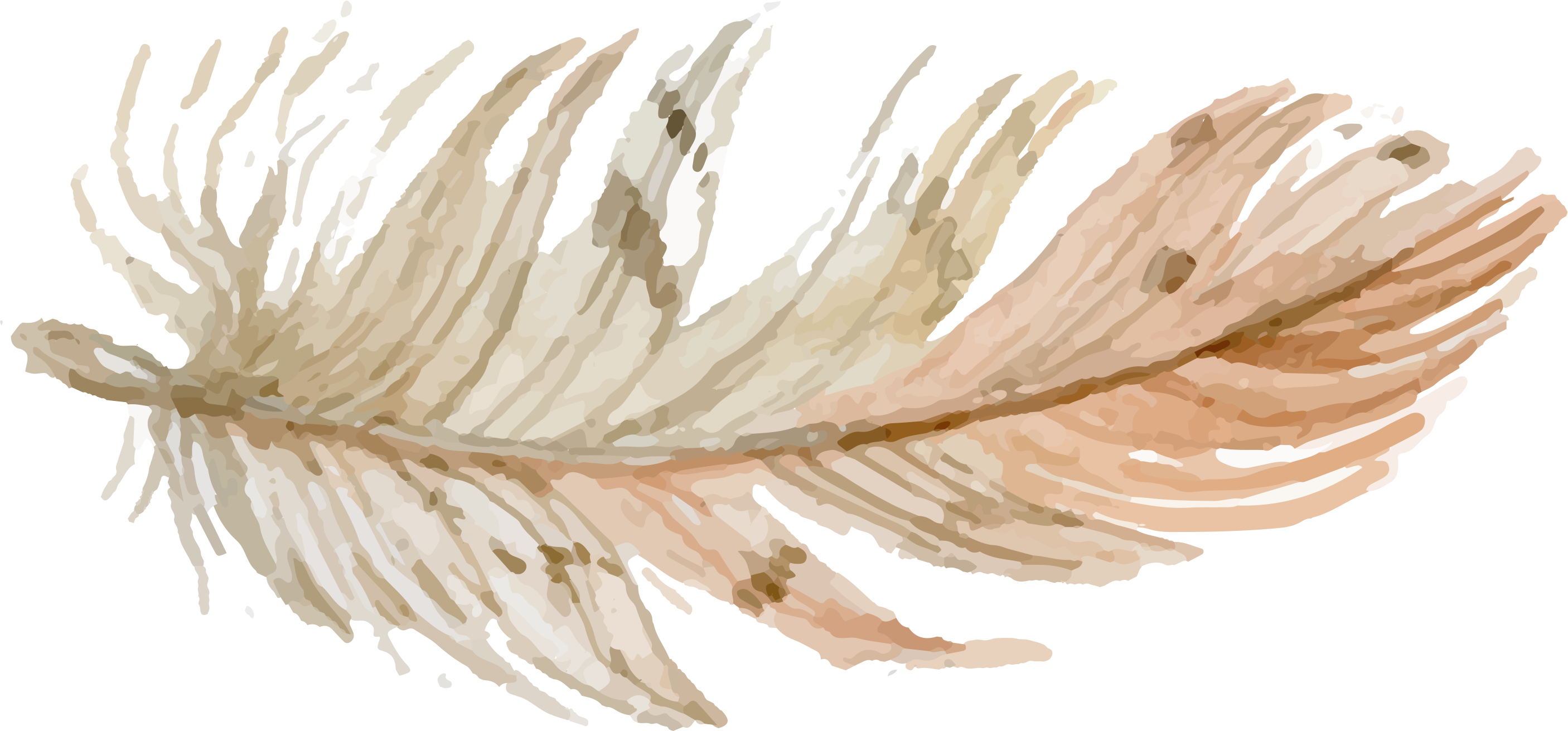 Be - Free Feather Hand Drawing (2812x1311), Png Download