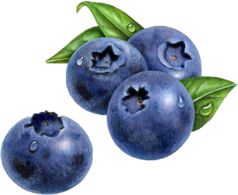 Jpg Black And White Download Blueberry Painting Muffin - Blueberry Painting (548x480), Png Download