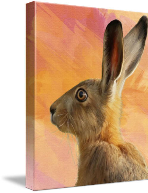 Wild Hare - Wild Hare Note Card (497x650), Png Download