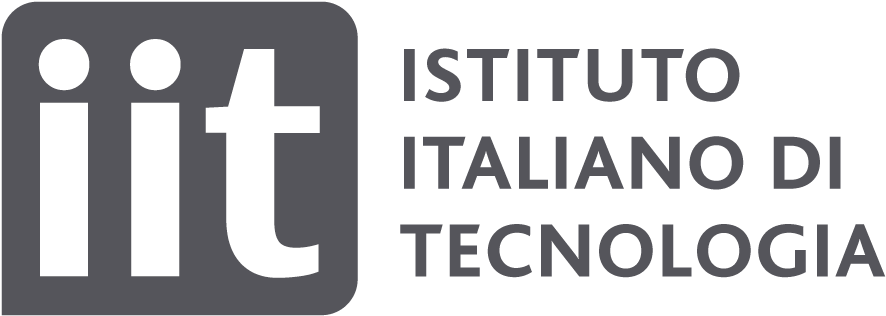 Iit V4 Logo T2 2 - Istituto Italiano Di Tecnologia (1000x427), Png Download
