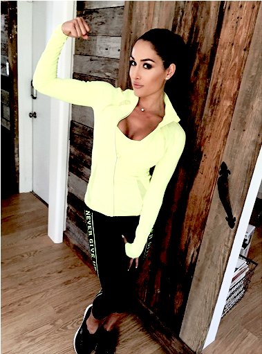 Never Give Up - Nikki Bella (500x510), Png Download