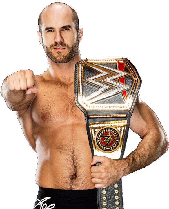 This Looks Damn Good - Wwe World Have Champion (583x722), Png Download