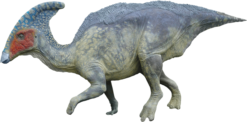 Duck-billed Dinosaur - Duck Billed Dinosaur (1040x496), Png Download